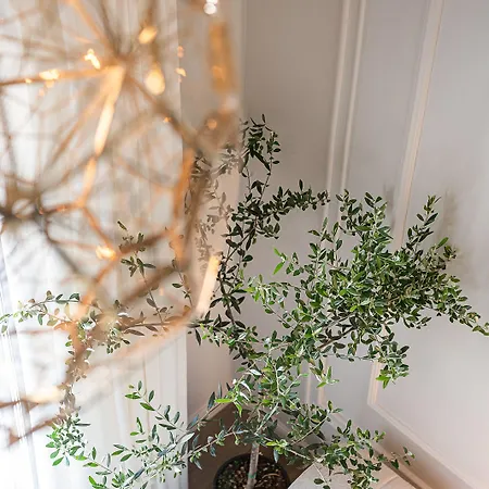 Elia Erato מלון 3*