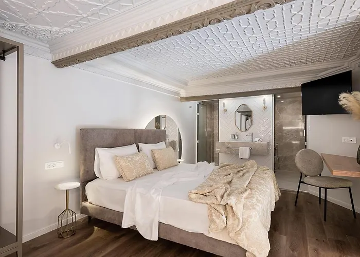 酒店 Elia Erato 3*