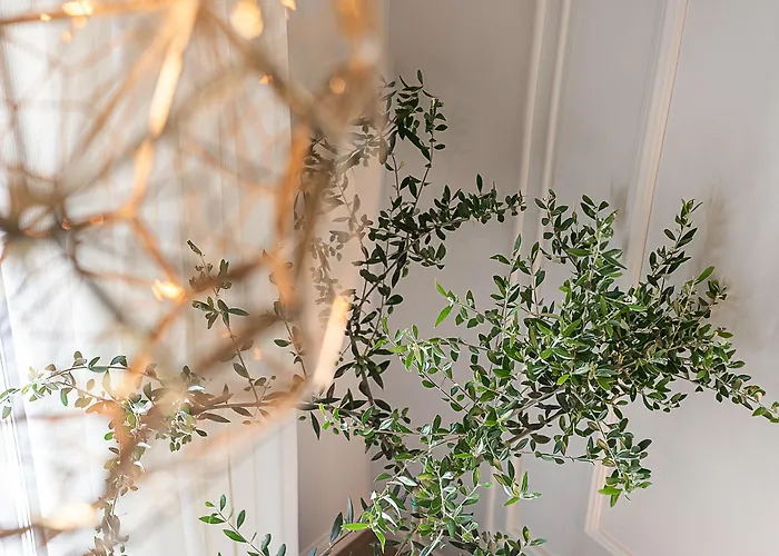 Elia Erato Готель 3*